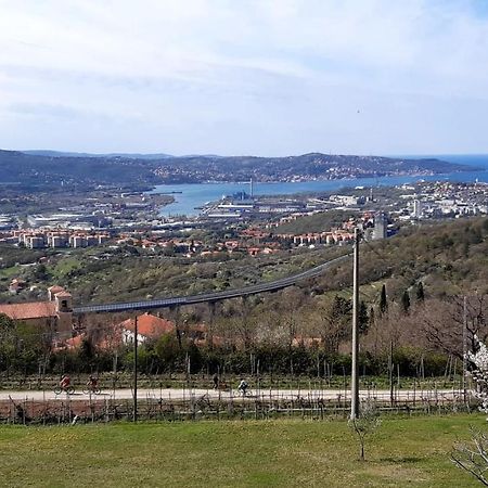 Bellavista Trieste San Dorligo della Valle Luaran gambar