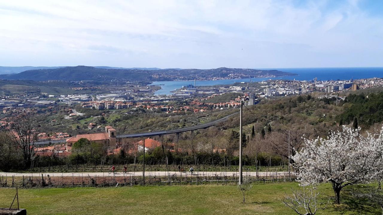 Bellavista Trieste San Dorligo della Valle Luaran gambar