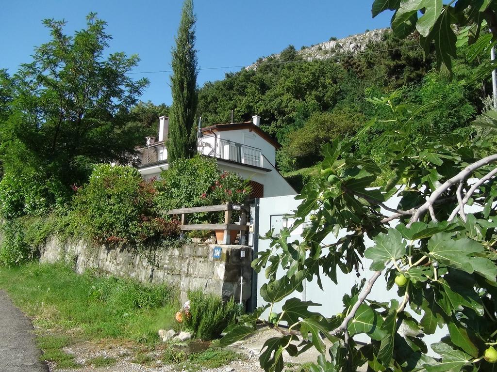 Bellavista Trieste San Dorligo della Valle Luaran gambar